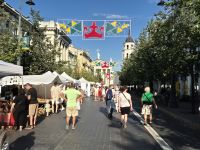 Tag 2 - Vilnius - Erdbeerfest 2