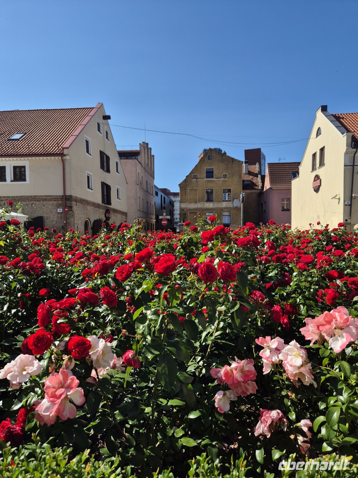 Tag 3 - Klaipeda -  Eindruck