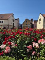 Tag 3 - Klaipeda -  Eindruck