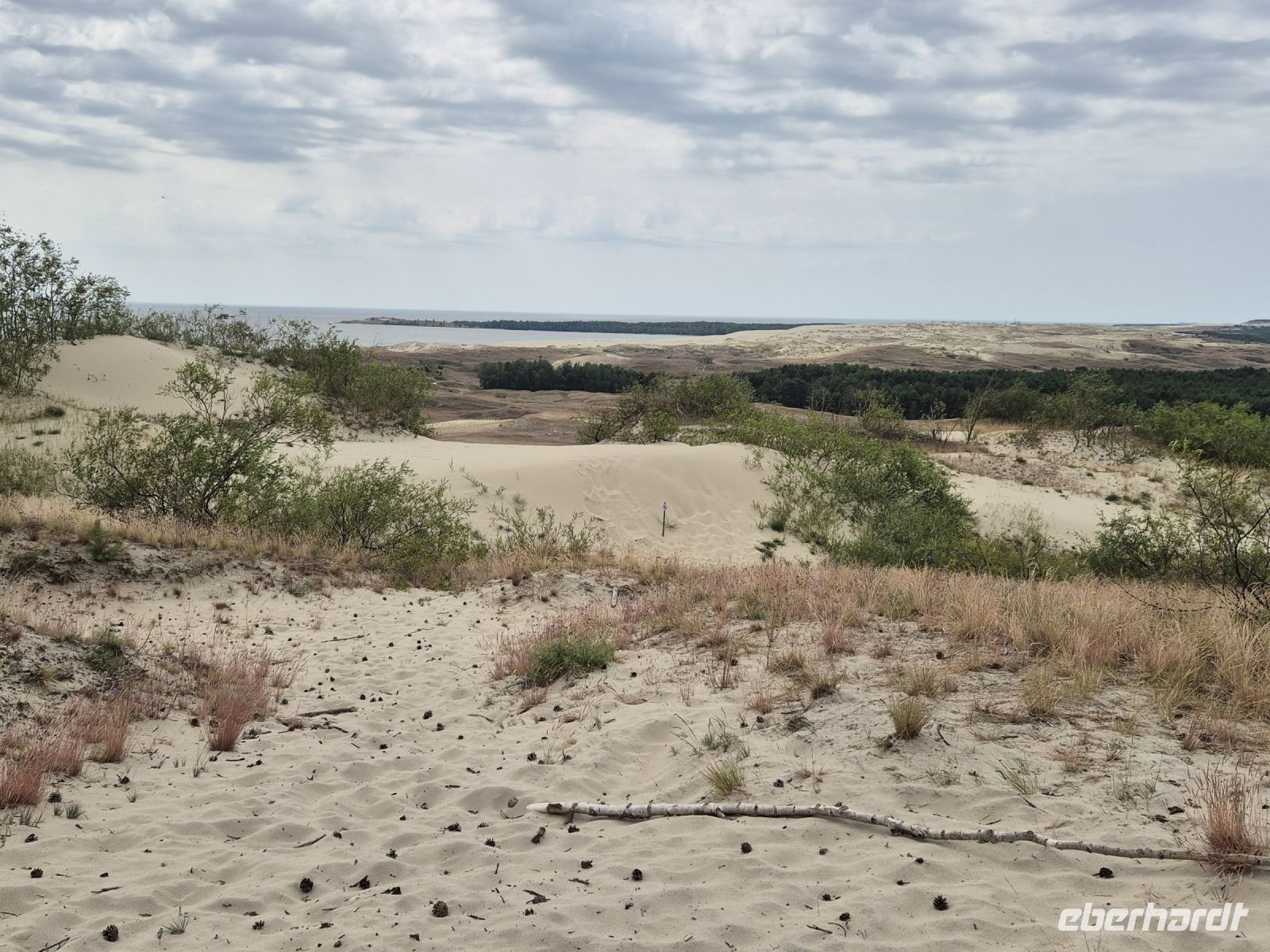 Tag 4 - Kurische Nehrung - Auf der Hohen Düne 2