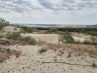 Tag 4 - Kurische Nehrung - Auf der Hohen Düne 2