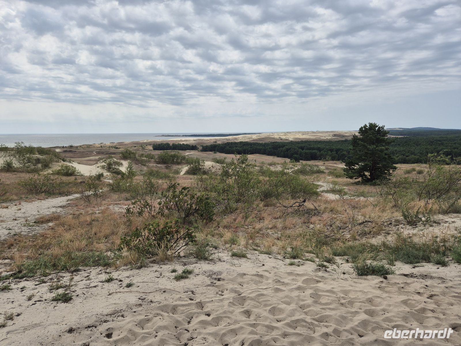Tag 4 - Kurische Nehrung - Auf der Hohen Düne