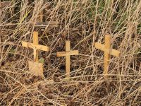 Tag 5 - Berg der Kreuze (1)