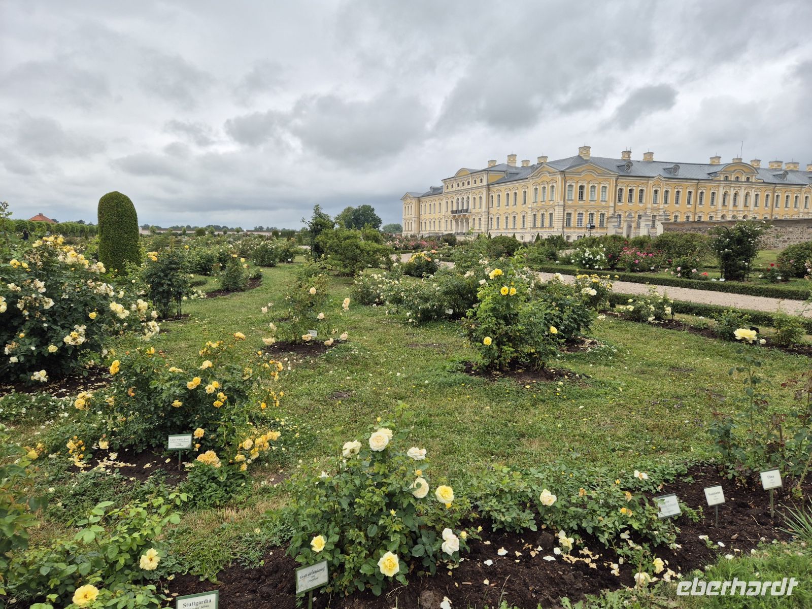 Tag 5 - Rundale - Rosengarten mit Schloss 2
