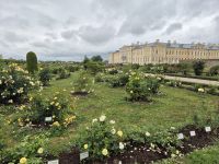 Tag 5 - Rundale - Rosengarten mit Schloss 2