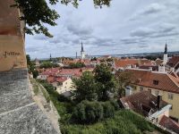 Tag 8 - Tallinn - Blick über die Altstadt