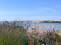 Kurische Nehrung Blick zur Wanderdüne
