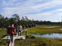 Laheema Nationalpark Viru Rabu Moorwanderung