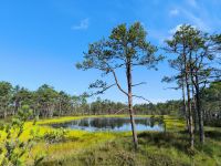 Laheema Nationalpark Viru Rabu Moor