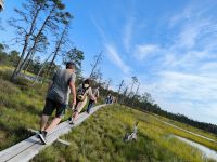 Laheema Nationalpark Viru Rabu Moorwanderung