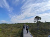 Laheema Nationalpark Viru Rabu Moorwanderung
