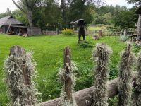 Laheema Nationalpark Fischerdorf Altja