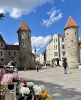 Blumenmarkt Am Viru-Tor