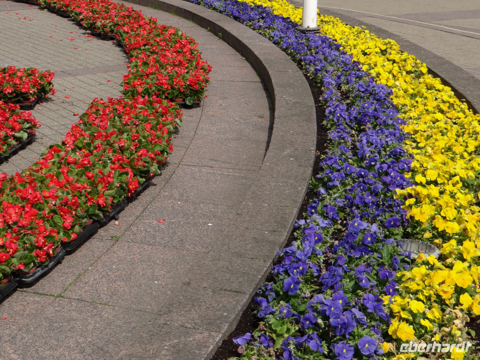 Vilnius, heute werden überall Blumen gepflanzt.