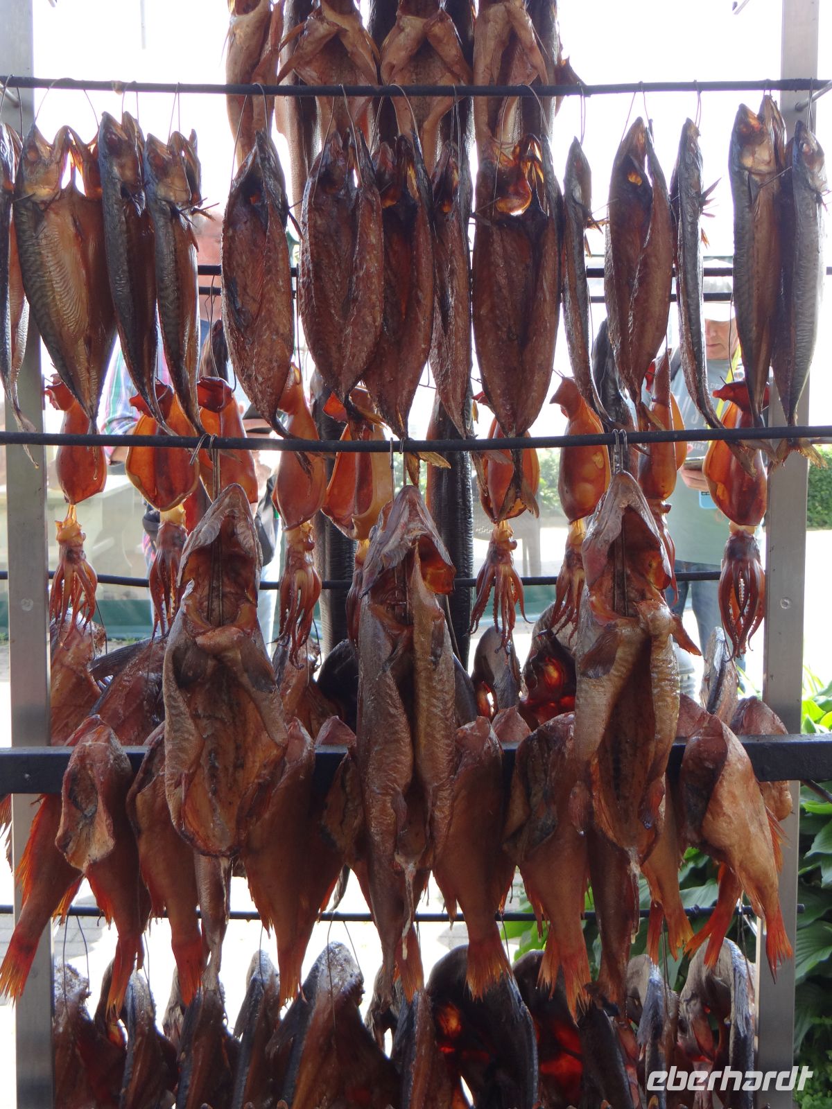 Kurische Nehrung, Nida, frisch aus dem Räucherofen