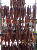 Kurische Nehrung, Nida, frisch aus dem Räucherofen