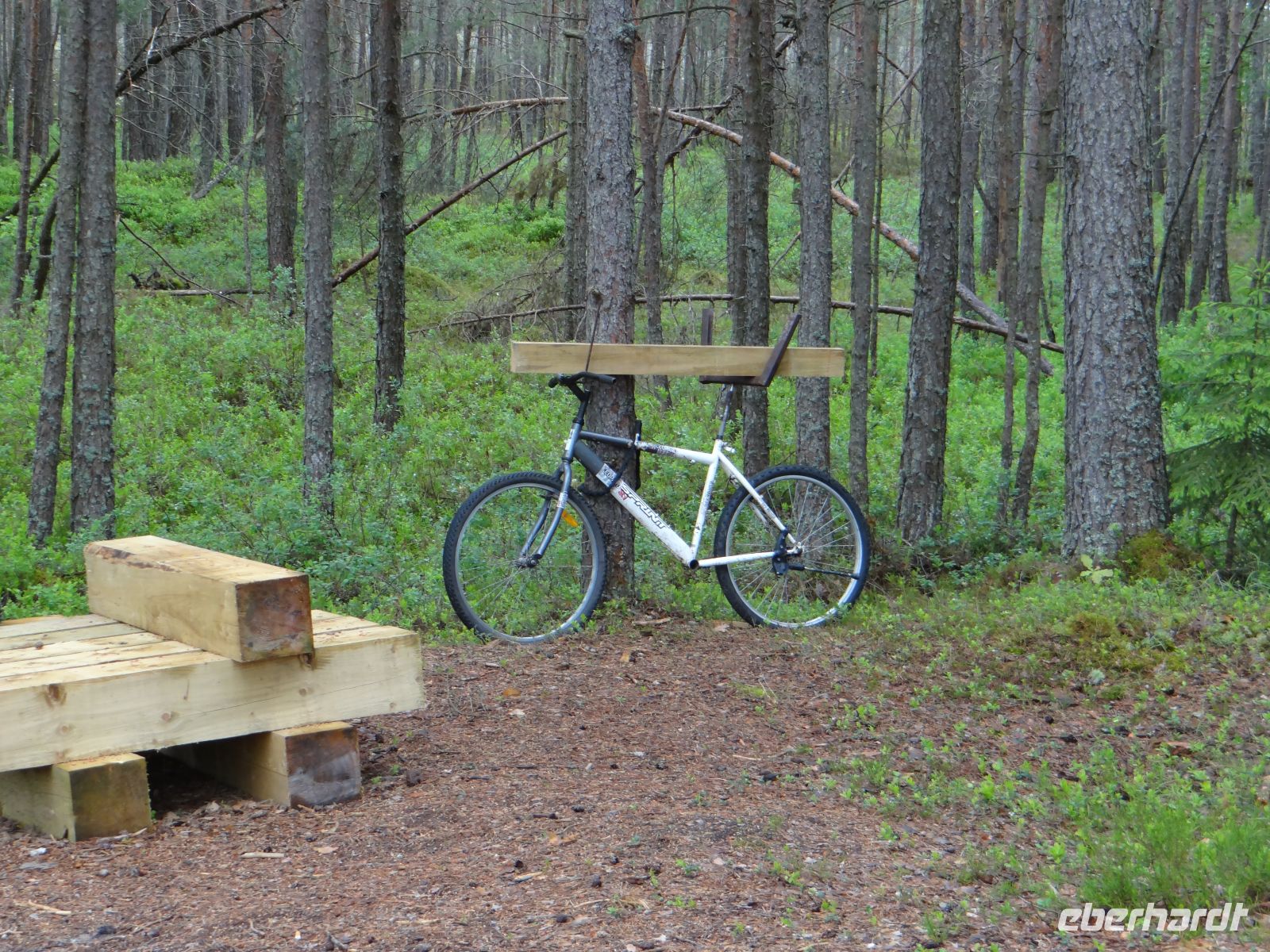 Kemeri Nationalpark, Vehikel für den Bohlentransport