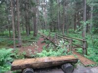 Kemeri Nationalpark, hier endet der Moorpfad.