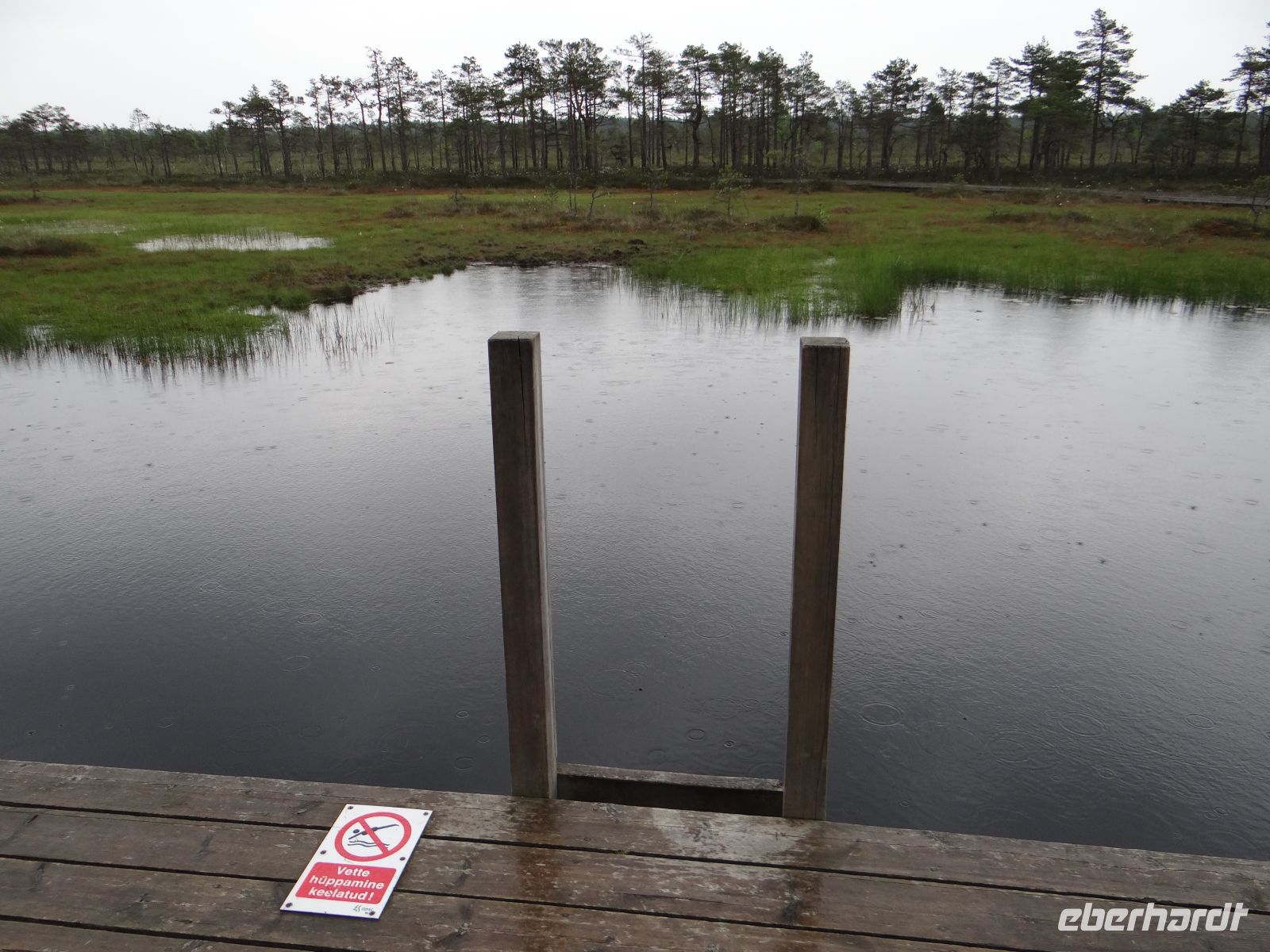 Soomaa Nationalpark, der Moorpool