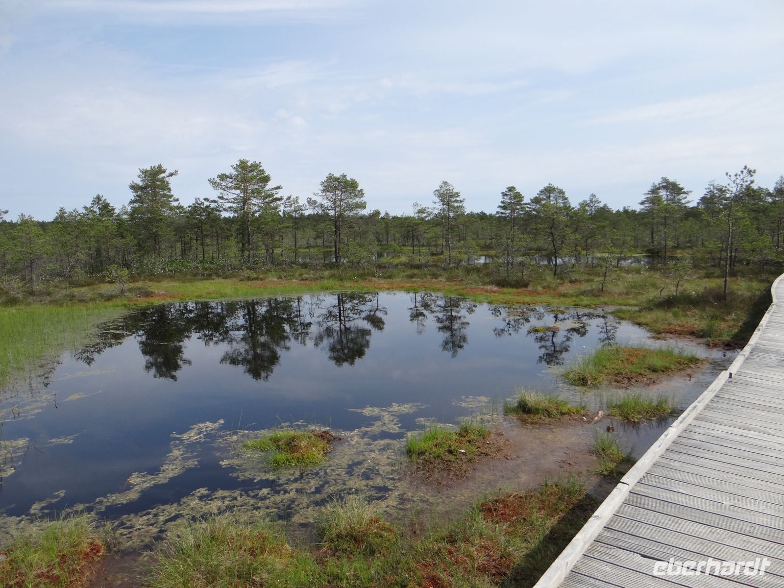 Lahemaa Nationalpark, das Hochmoor Viru raba 