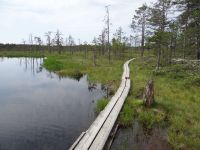 Lahemaa Nationalpark, Moorpfad