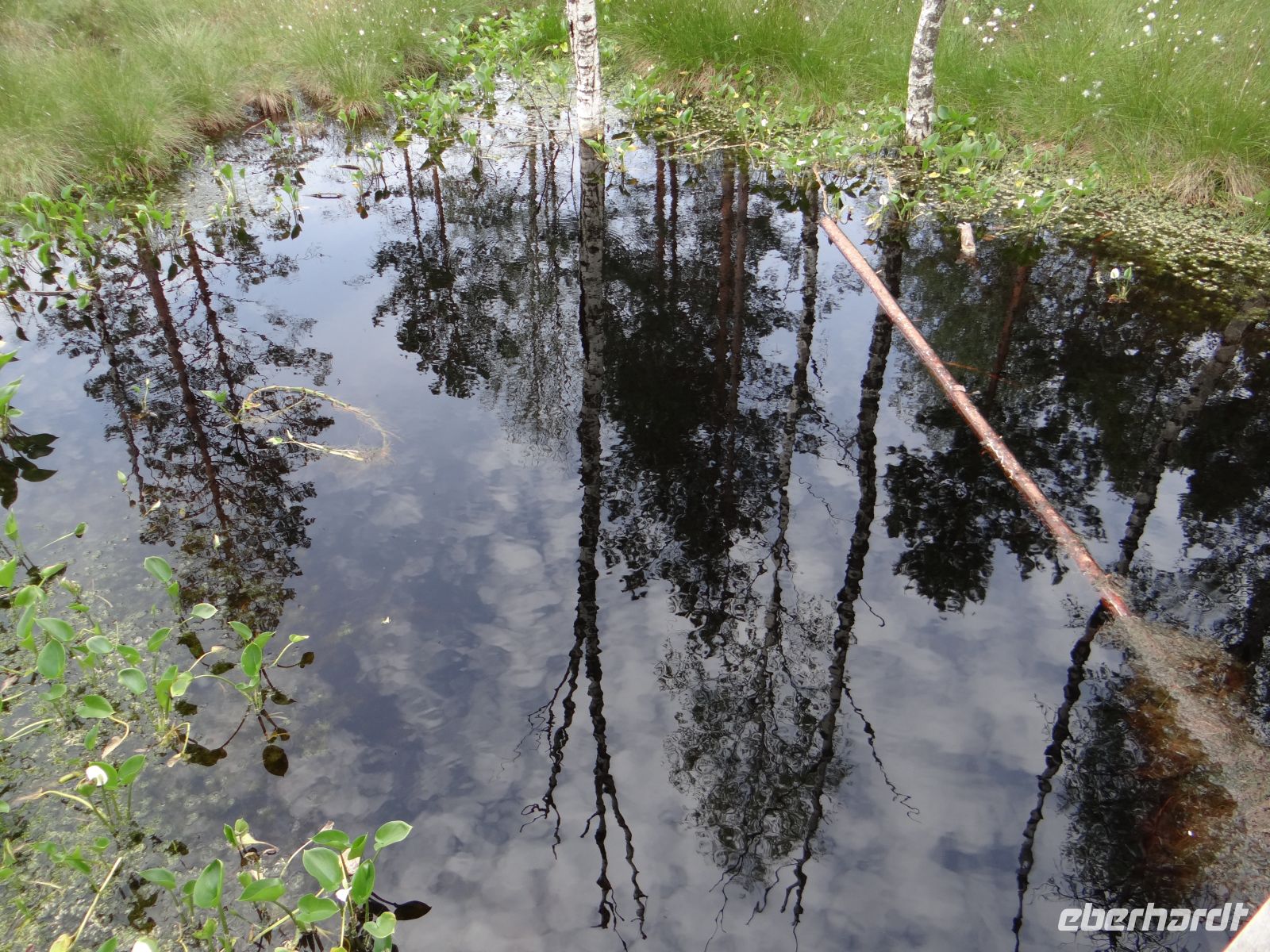 Lahemaa Nationalpark, entlang des Moorpfads