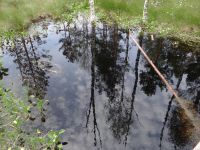 Lahemaa Nationalpark, entlang des Moorpfads