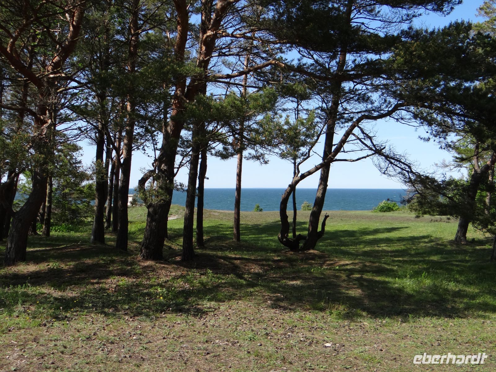 Die Küste bei Panga