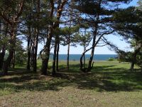 Die Küste bei Panga