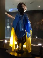 .. Solidarität mit der Ukraine überall...