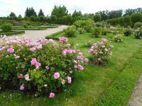 ... Rosengarten des Schlosses Rundale...