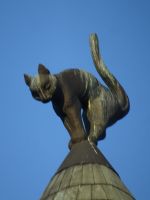 Riga, Katze auf dem Katzenhaus...