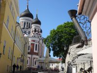 Domberg, Abgang über das 