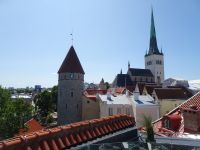 Blick vom Margarethenturm auf die Altstadt