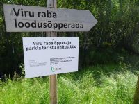 Estland, Ausflug in den Lahemaa-Nationalpark zum Viru Raba-Moor...