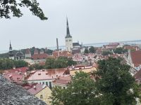Altstadt von Vilnius (10)