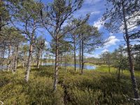 ...im Laheema N.P (2) &ndash; &copy; Thomas Krupp (Eberhardt TRAVEL)