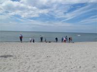 Ostseestrand Kurische Nehrung