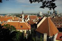 Tallinn (4)