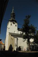 Tallinn_Dom (1)