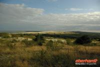 kurische_Nehrung_Nidden_hohe_DÃŒne (1)