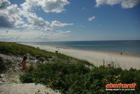 kurische_Nehrung_OstseedÃŒne (1)