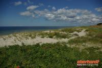 kurische_Nehrung_OstseedÃŒne (4)