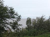 Blick auf die Kurische Nehrung