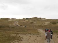 Sanddüne auf der Kurischen Nehrung