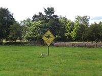 Outback-Schild im Baltikum