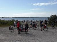 Reisegäste vor den Steinwunschhaufen