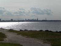 Blick auf Tallinn