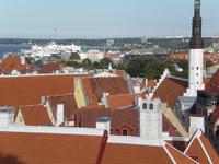 Blick über Tallinn