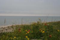 Kurische Nehrung - Ostsee